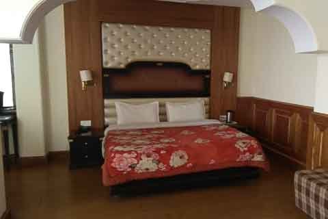 Hotel De Park shimla himachal pradesh
